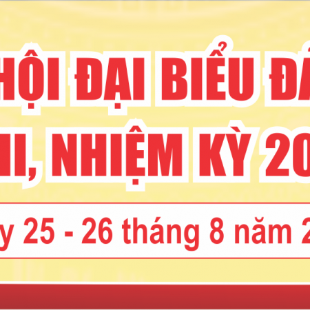 băng rôn – dai hoi