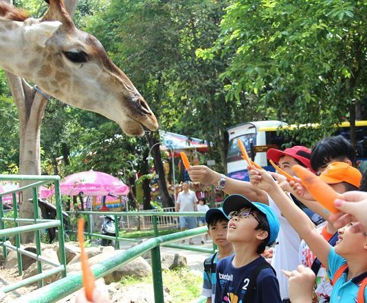 Chương trình dã ngoại cuối tuần “Khám Phá Sài Gòn”